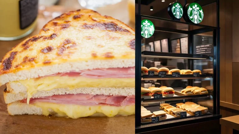 Starbucks Sandwiches & Toasties